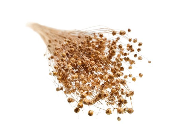 BMW i prirodni vlaknasti kompoziti