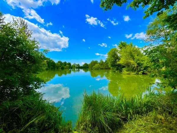 Bedekovčanska jezera