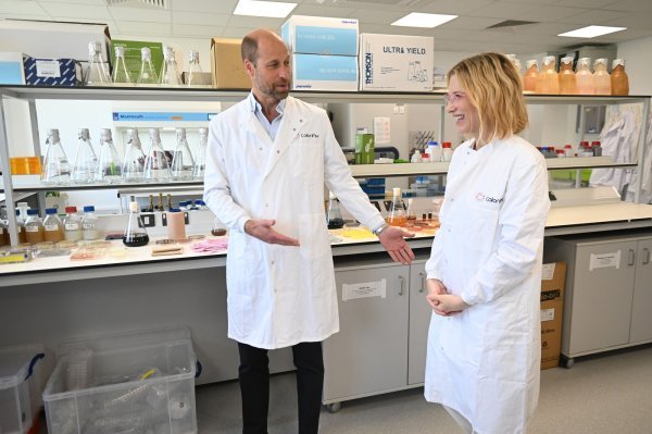 Princ William i Cate Blanchett