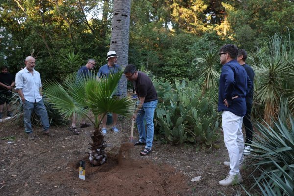 Nebojša Slijepčević_sadnja palme_Dino Avdić