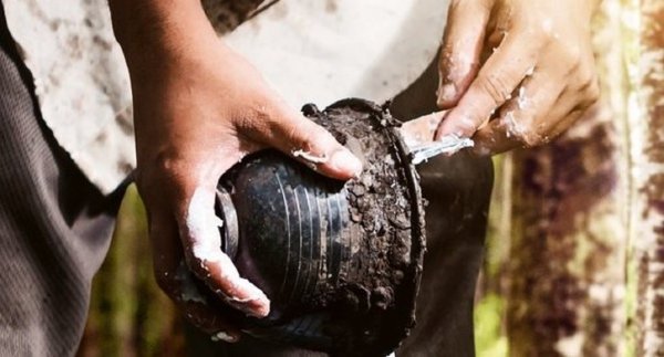 Continental - Održivije gume