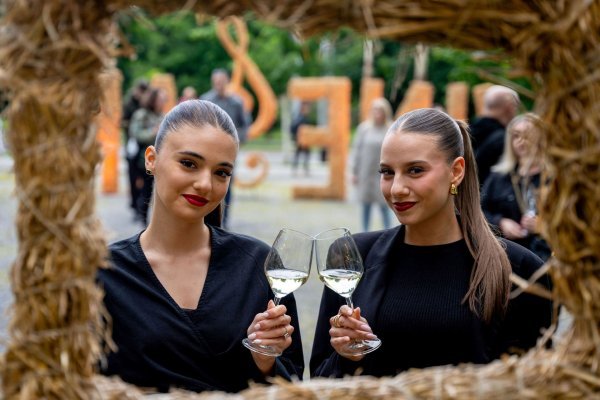 Srpanjski vikend u Osječko-baranjskoj županiji_foto_ELEMENT_MEDIA