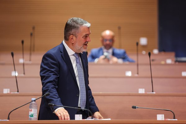 HDZ-ovac u Saboru: Hrvatskim šumama se neutemeljinim optužbama nanosi ogromna šteta