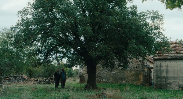 Scena iz filma 'Kako je ovdje tako zeleno'