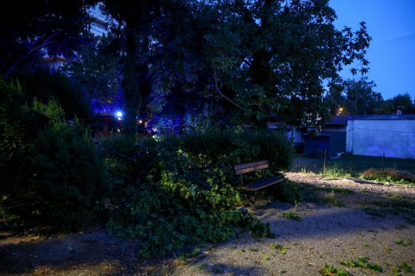 Vatrogasci uklanjaju srušeno stablo u Vukovarskoj ulici