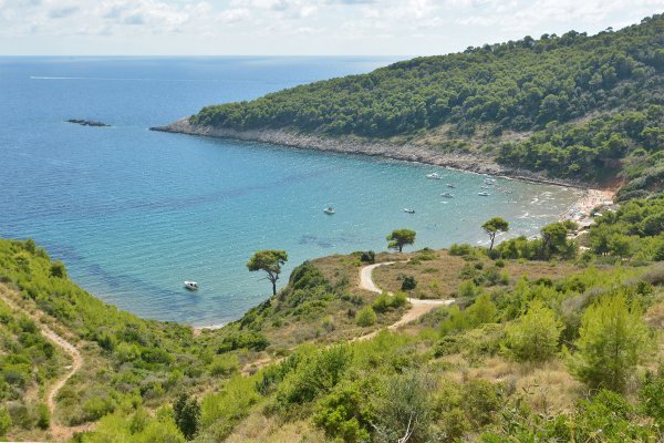 Plaža Šunj