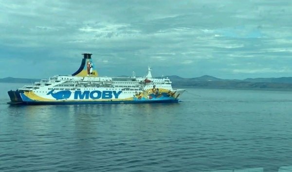 Moby Drea