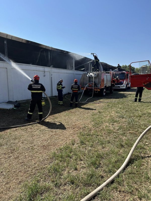 Požar na farmi peradi