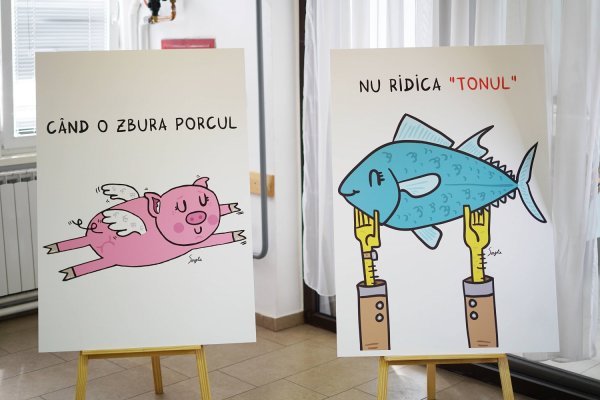 Ilustrirani rumunjski izrazi
