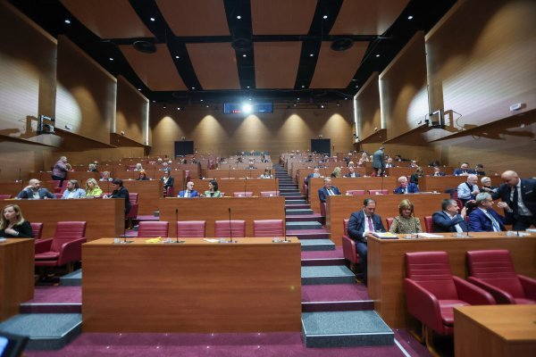 Zastupnici u svojim raspravama često koriste poklič ZDS