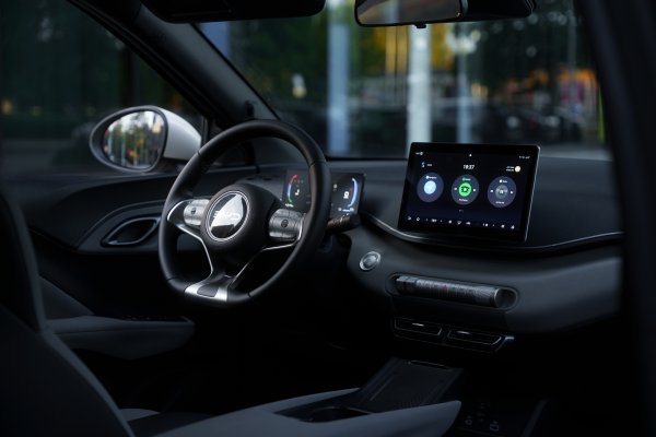 BYD Dolphin Surf