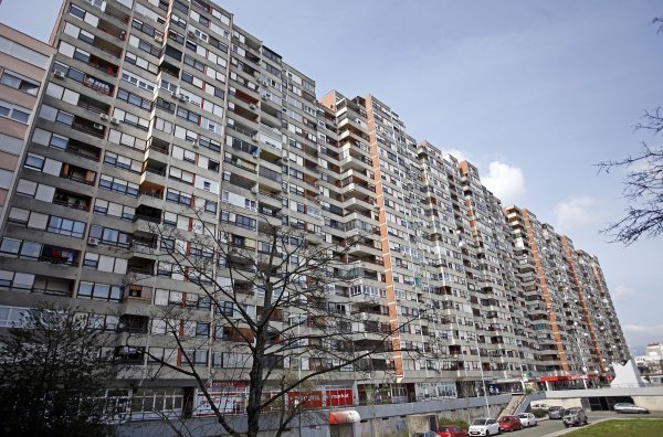Mamutica