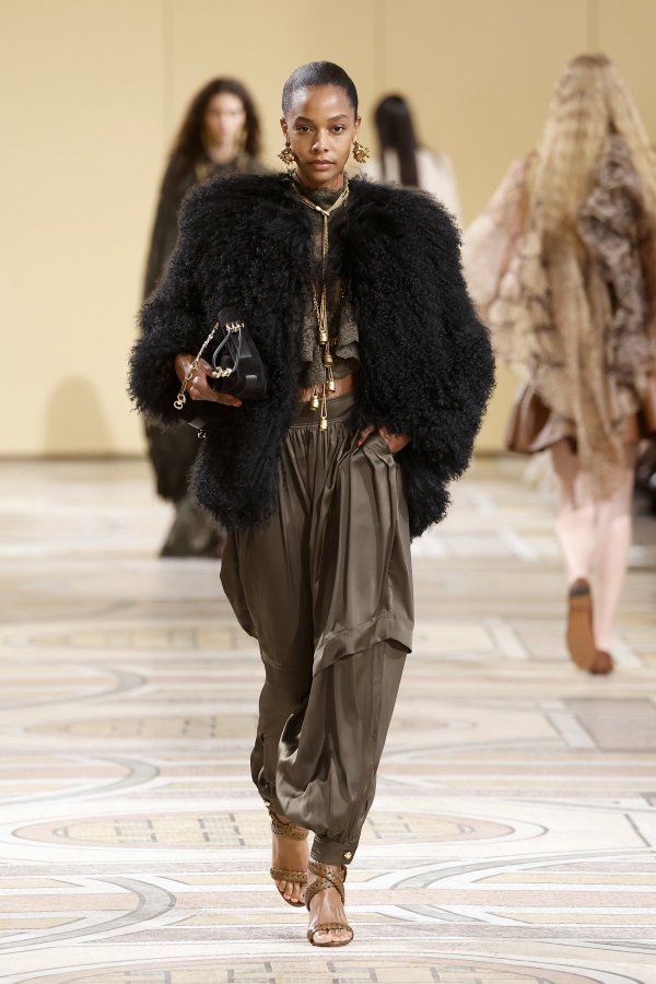Zimmermann FW25