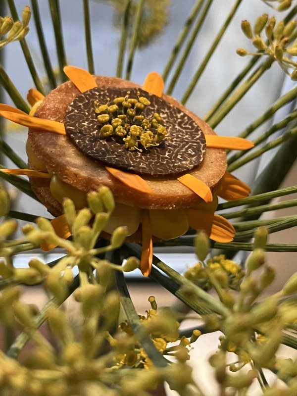 Amisfield, novi menu