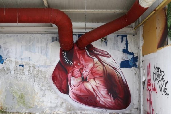 Mural pumpajućeg srca  (5)