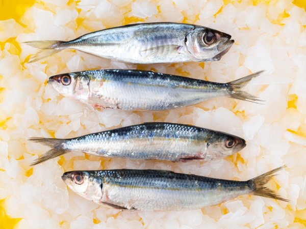 Kad god možete izbjegavajte sardine pakirane u vodi ili sojinom ulju.