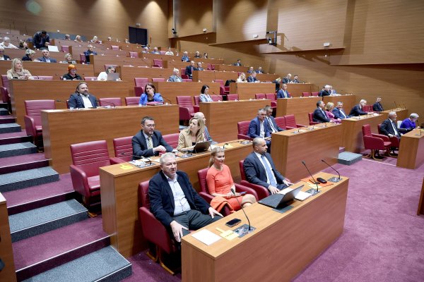 Planira se uvođenje novog kaznenog djela. Što će o tome reći zastupnici?