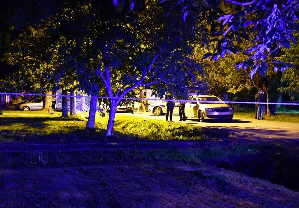 Ubojstvo kod Slavonskog Broda