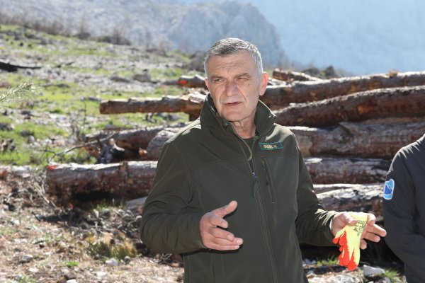 Nediljko Dujić, predsjednik Uprave Hrvatskih šuma