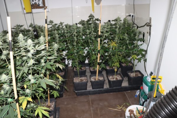 Pao s kokainom pa mu policija upala u kuću, tamo su našli ozbiljnu količinu marihuane