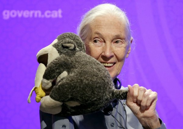 Jane Goodall
