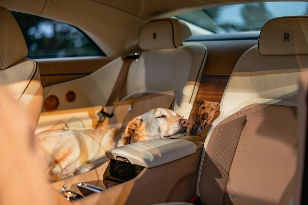 Rolls-Royce Spectre Bailey