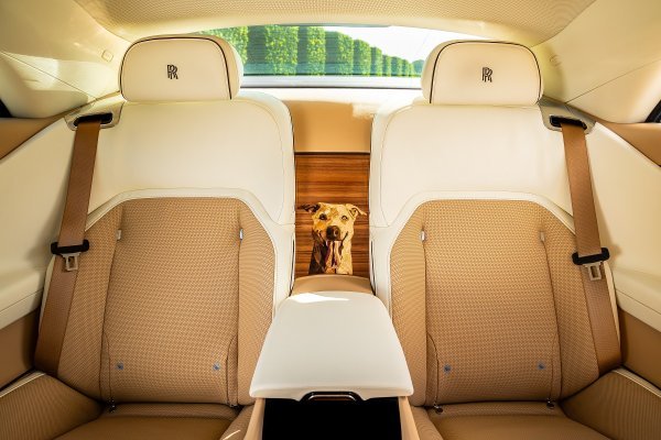 Rolls-Royce Spectre Bailey