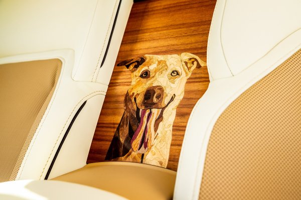 Rolls-Royce Spectre Bailey