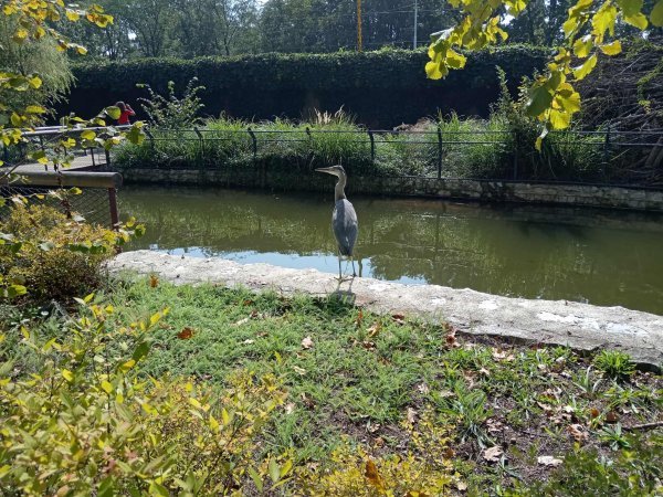 Zoološki vrt u Zagrebu pravi je raj za životinje koje vole vodu