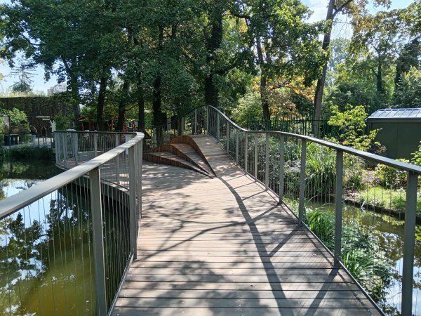 Jedan od brojnih mostova u Zoo Zagreb kojim možete vidjeti ljepotu vodenog staništa