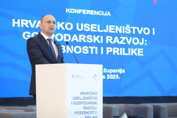 Ministar Anušić