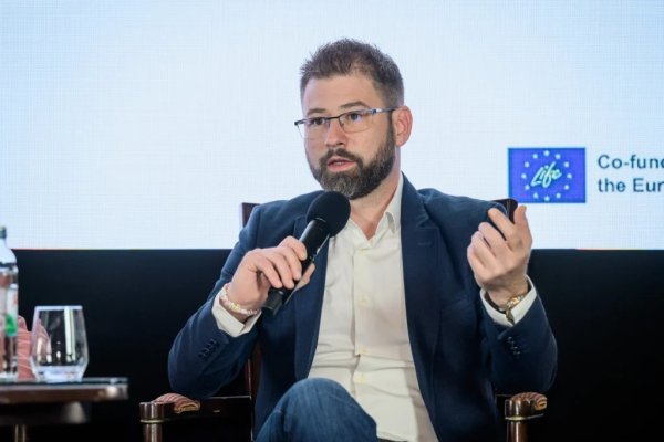 Tin Bašić