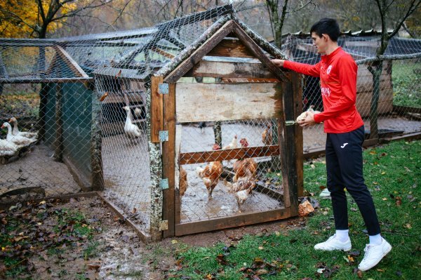 Djevojkama su primamljivi sportaši, kažu Narančići