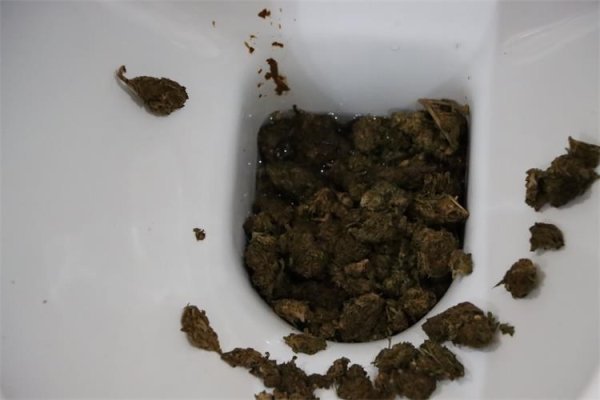 Policija upala u kuću dok je žena bacala drogu u WC: Rastavili su kanalizacijske cijevi