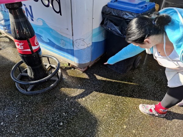 Zagrebačke tržnice