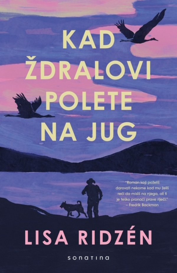 Kad zdralovi polete na jug - omot