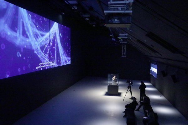 Lubanja C čuva se u posebnim uvjetima