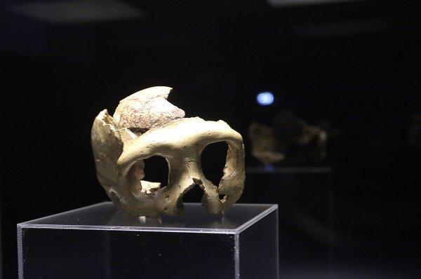 Otvorenje izložbe 'Lubanja C'