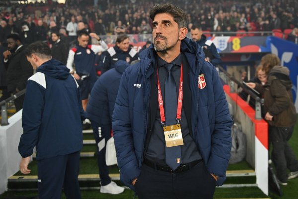 Do danas se nije znalo ima li Srbija izbornika ili nema; Savez je donio konačnu odluku