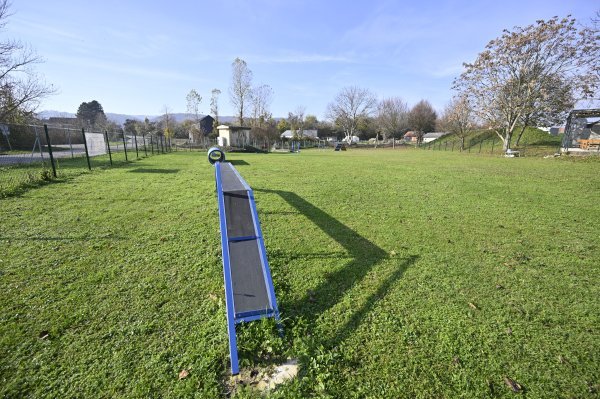 Na otvorenom poligonu psi održavaju kondiciju