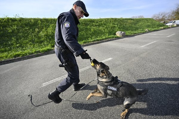 Trening priprema carinske službenike i mlade pse za rad
