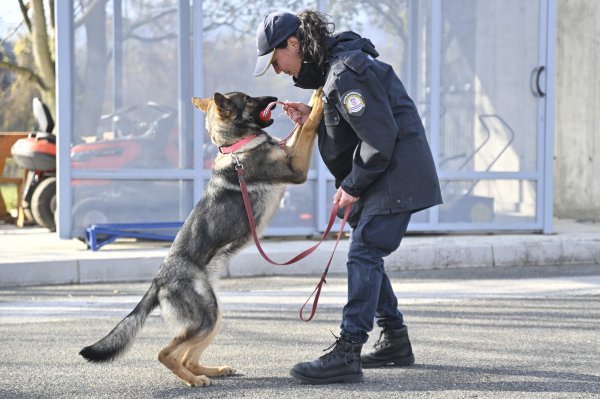 Kujica Debby već zna naći lopticu, ali još se uči disciplini 