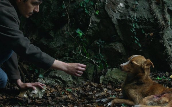 Vjetre, pričaj sa mnom