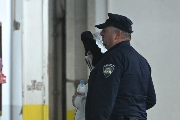 Suosumnjičenica uz Grošića