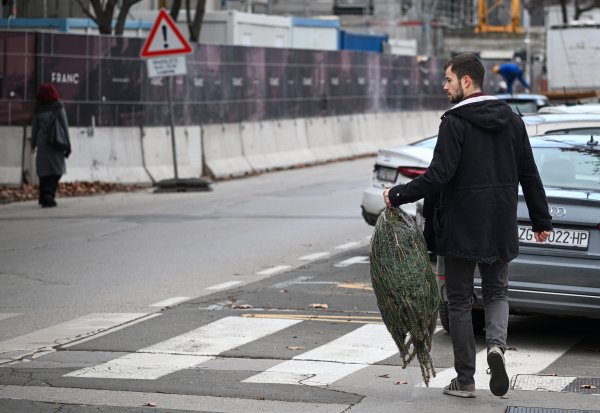 Božićna drvca su ove godine znatno skuplja