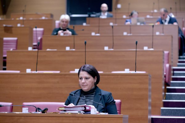 Vlada djelomično prihvatila amandman Kluba IDS-a. Poznato što to donosi