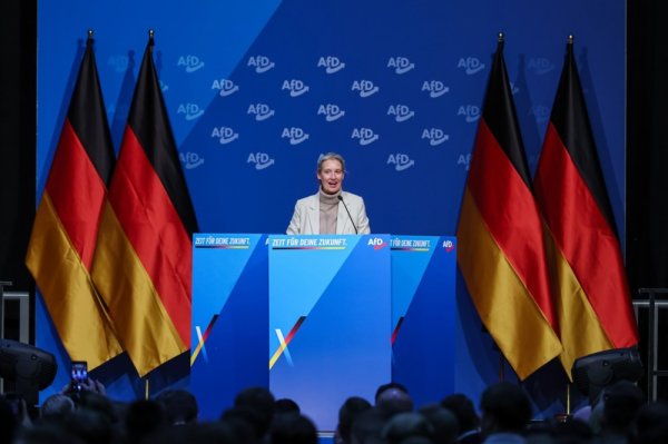 Alice Weidel, jedna od čelnica AFD-a