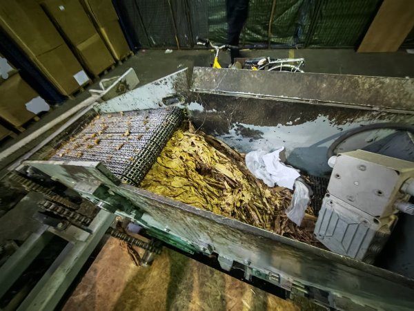 Ako već morate pušiti, možda je zbilja bolje kupovati duhan kod ovlaštenih prodavača