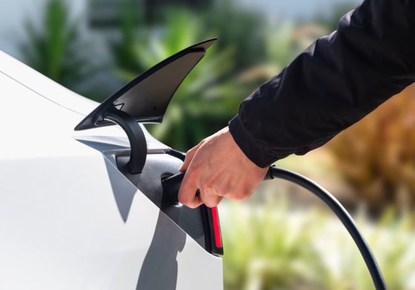 Tesla Model 3 Standard Rear-Wheel Drive