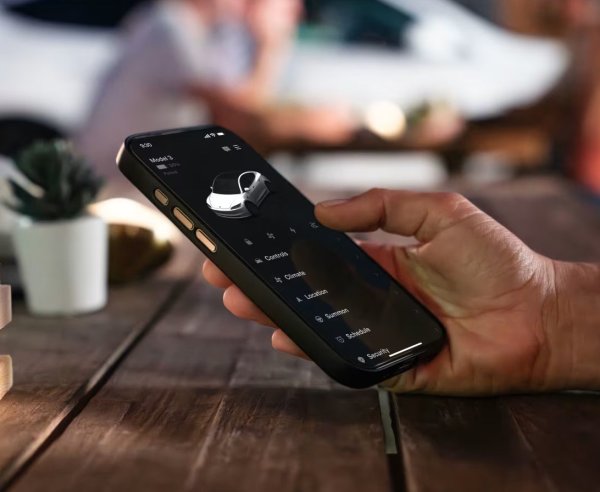 Tesla Model 3 Standard Rear-Wheel Drive